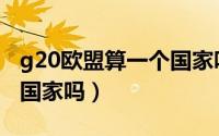 g20欧盟算一个国家吗现在（g20欧盟算一个国家吗）