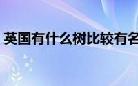 英国有什么树比较有名（英国的树是什么树）