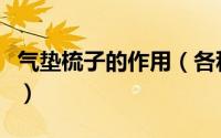气垫梳子的作用（各种梳子的作用梳子的种类）