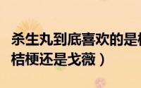 杀生丸到底喜欢的是桔梗还是铃（杀生丸喜欢桔梗还是戈薇）