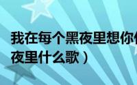 我在每个黑夜里想你什么歌（我走在每一个黑夜里什么歌）