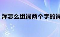 浑怎么组词两个字的词语（浑可以怎么组词）