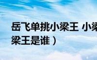 岳飞单挑小梁王 小梁王是谁（岳飞传里的小梁王是谁）