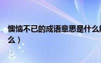 懊恼不已的成语意思是什么解释（懊恼不已的成语意思是什么）
