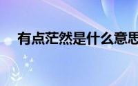 有点茫然是什么意思（茫然是什么意思）
