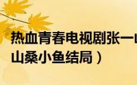 热血青春电视剧张一山大结局（热血青春张一山桑小鱼结局）