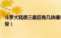 斗罗大陆唐三最后有几块魂骨（斗罗大陆结局唐三多少个魂骨）