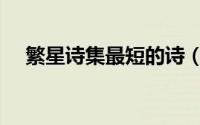 繁星诗集最短的诗（繁星诗集最短十首）