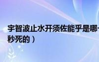宇智波止水开须佐能乎是哪一集（宇智波止水是几集几分几秒死的）