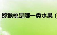 猕猴桃是哪一类水果（猕猴桃属于哪种水果）
