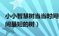 小小智慧树当当时间蝴蝶20110930（活的时间最短的树）