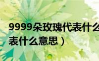 9999朵玫瑰代表什么意思啊（9999朵玫瑰代表什么意思）