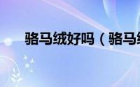骆马绒好吗（骆马绒与山羊绒的区别）