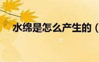 水绵是怎么产生的（水绵是怎样产生的）