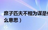 庶子匹夫不相为谋是什么意思（不相为谋是什么意思）