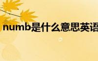 numb是什么意思英语（Numb是什么意思）