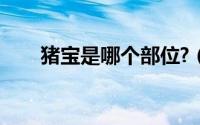 猪宝是哪个部位?（猪宝是哪个部位）