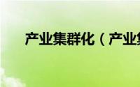 产业集群化（产业集群的特征是什么）