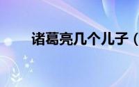 诸葛亮几个儿子（诸葛均几个孩子）