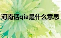 河南话qia是什么意思（河南话sao是啥意思）