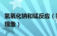 氢氧化钠和锰反应（氢氧化锰与氢氧化钠反应现象）