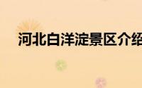 河北白洋淀景区介绍（白洋淀景区介绍）