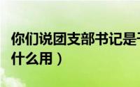 你们说团支部书记是干什么的（团支部书记有什么用）
