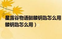 星露谷物语骷髅钥匙怎么用（星露谷物语stardewvalley骷髅钥匙怎么用）