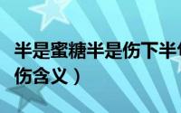 半是蜜糖半是伤下半句怎么接（半是蜜糖半是伤含义）