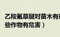 乙羧氟草醚对苗木有药害吗（乙羧氟草醚对哪些作物有危害）