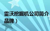 雷沃挖掘机公司简介（雷沃挖机是哪个国家的品牌）