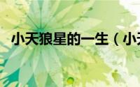 小天狼星的一生（小天狼星的名字是什么）