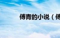 傅青的小说（傅青主武侠小说）