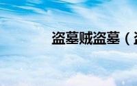 盗墓贼盗墓（盗墓贼的意思）