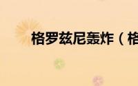 格罗兹尼轰炸（格罗兹尼战役起因）