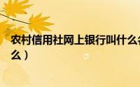 农村信用社网上银行叫什么名字（农村信用社网上银行叫什么）