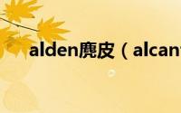alden麂皮（alcantara和麂皮的区别）