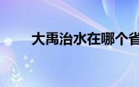 大禹治水在哪个省（大禹是哪的人）