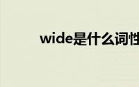 wide是什么词性（wide是什么）