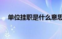 单位挂职是什么意思（挂职是什么意思）