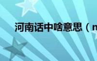 河南话中啥意思（nia是啥意思河南话）