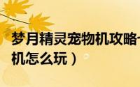 梦月精灵宠物机攻略七大秘宝（梦月精灵宠物机怎么玩）