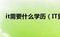 it需要什么学历（IT男有什么优点和缺点）