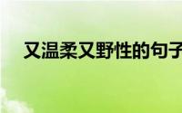 又温柔又野性的句子（野蛮温柔的词语）
