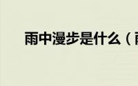 雨中漫步是什么（雨中漫步什么意思）