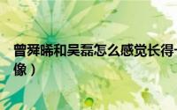曾舜晞和吴磊怎么感觉长得一样（曾舜晞为什么和吴磊这么像）
