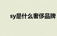 sy是什么奢侈品牌（sy是什么奢侈品）