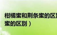 柑橘蜜和荆条蜜的区别是什么（柑橘蜜和荆条蜜的区别）