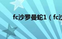 fc沙罗曼蛇1（fc沙罗曼蛇一共几代）