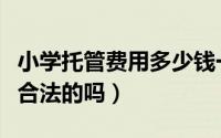 小学托管费用多少钱一个学期（小学托管费是合法的吗）